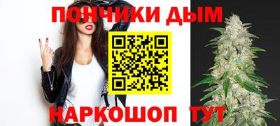 гидра Будённовск