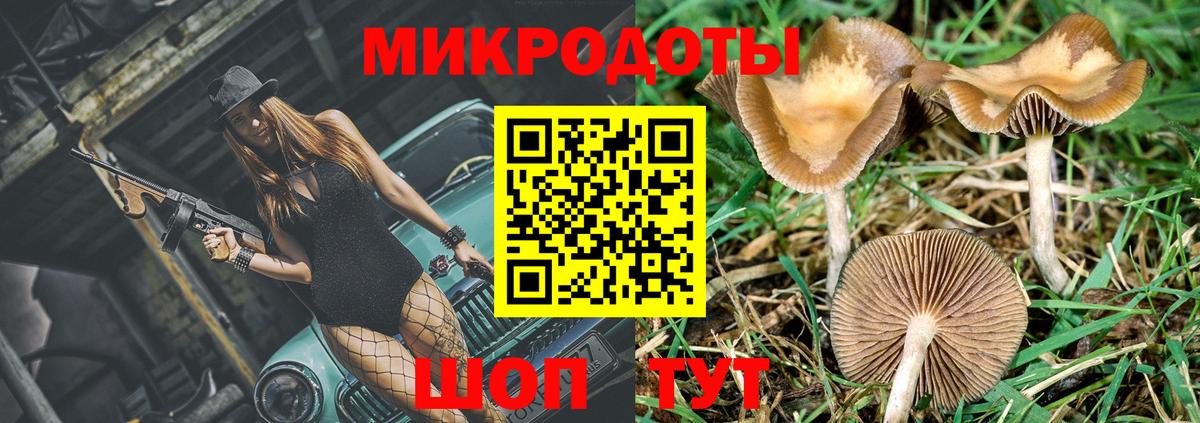 Богородицк  Галлюциногенные грибы Psilocybe  Вход с VPN 