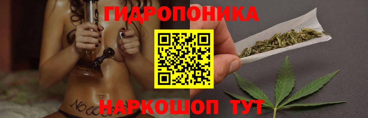 Шишки марихуана планчик  Вход с VPN  Богородицк  Марихуана планчик 